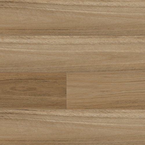 Blackbutt
