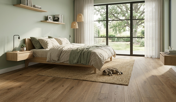 Highland Blackbutt