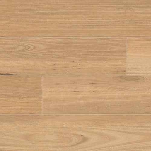 Golden Coast Blackbutt
