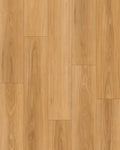 Golden BlackButt