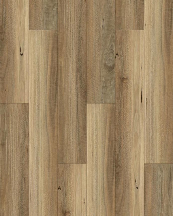 Heritage Spotted Gum