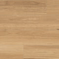 Honey Blackbutt