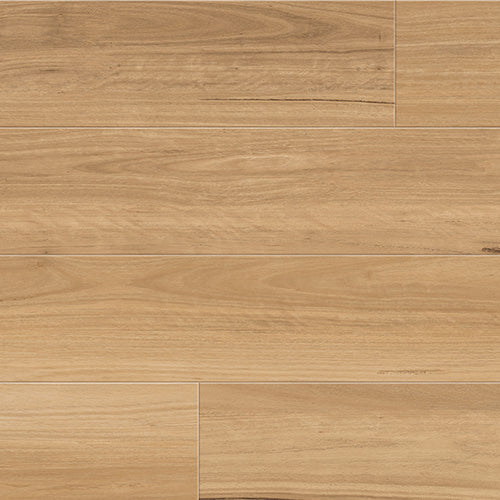 Honey Blackbutt