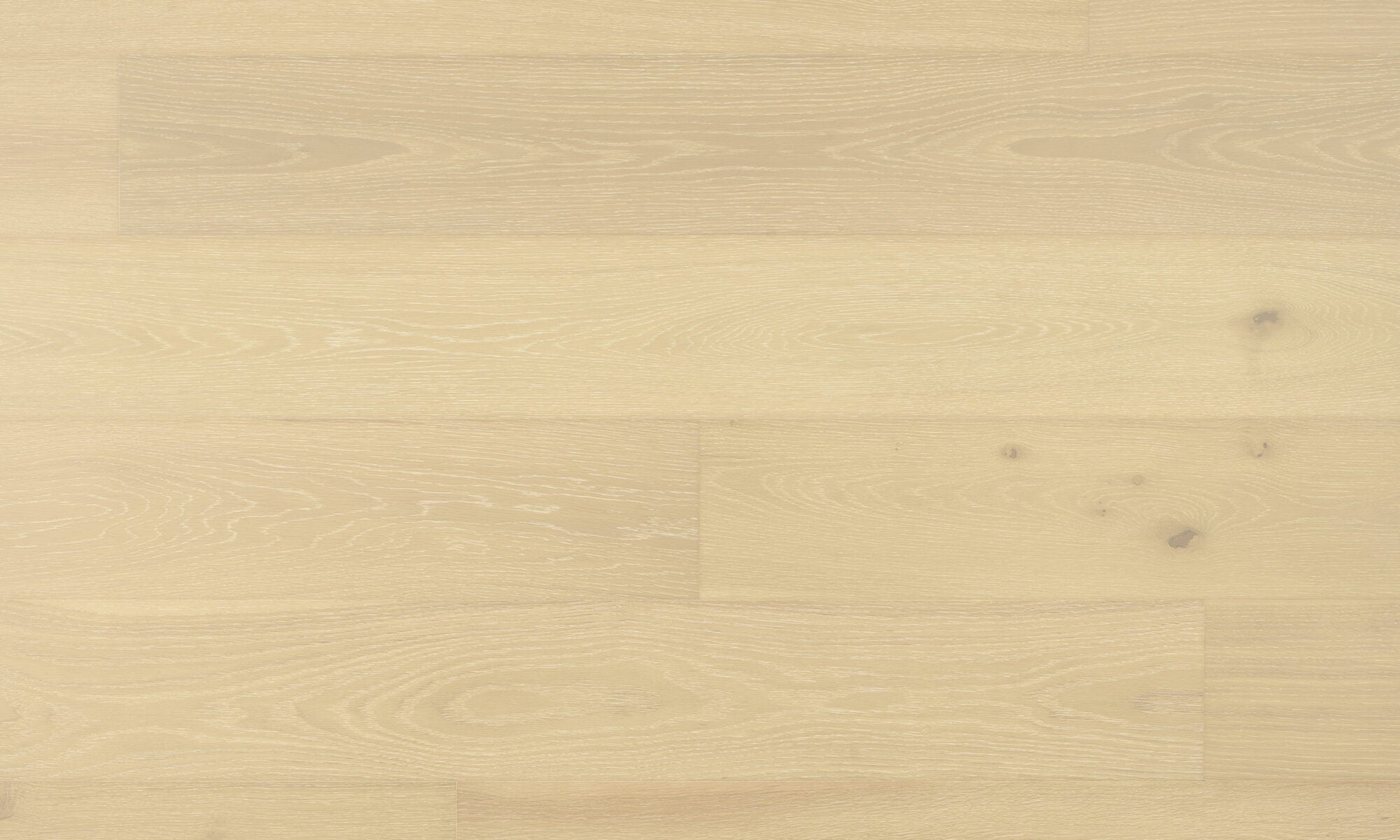 Nordic Ivory