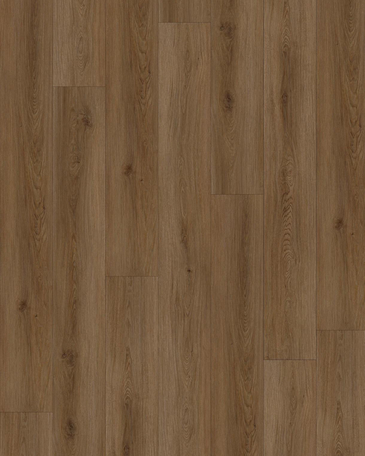 Outback Ridge Oak