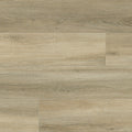 Sand Oak