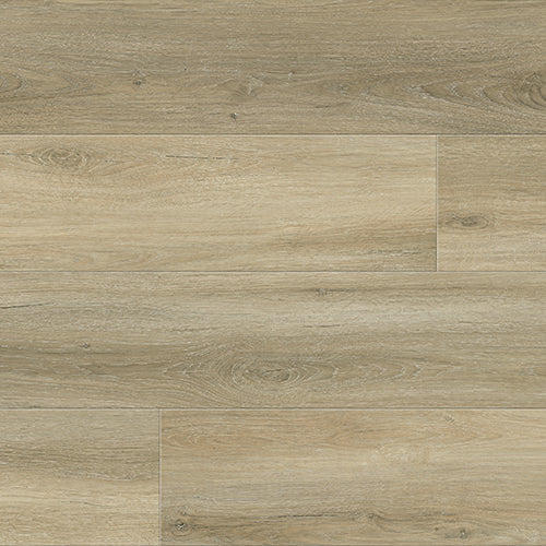 Sand Oak