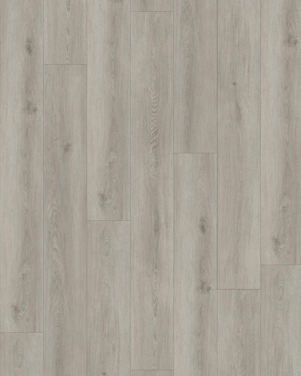 Silver Coast Oak