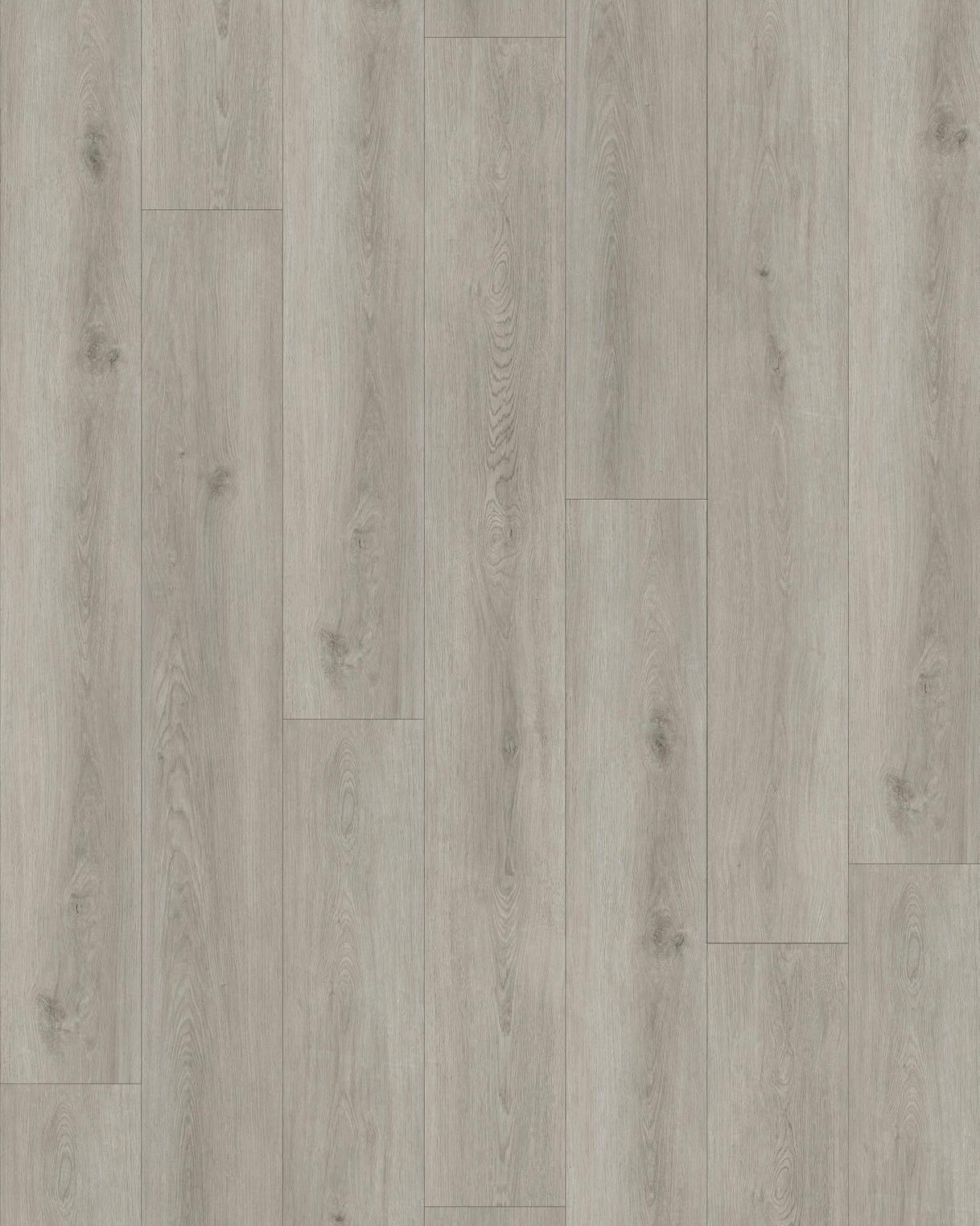 Silver Coast Oak
