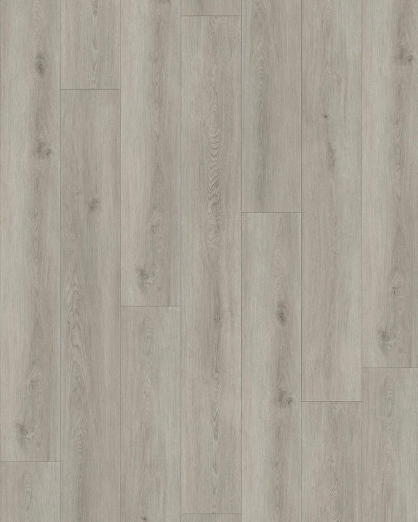 Silver Coast Oak