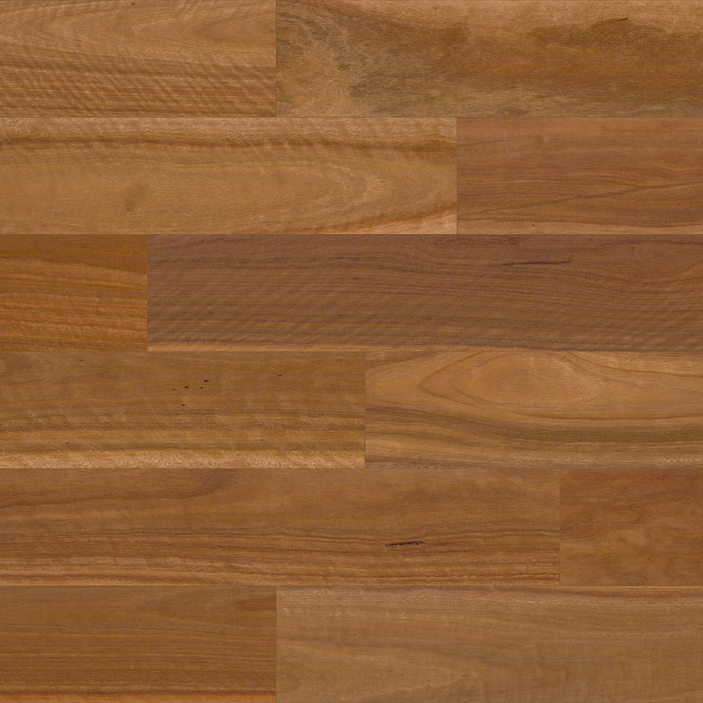 Spotted Gum
