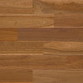 Spotted Gum