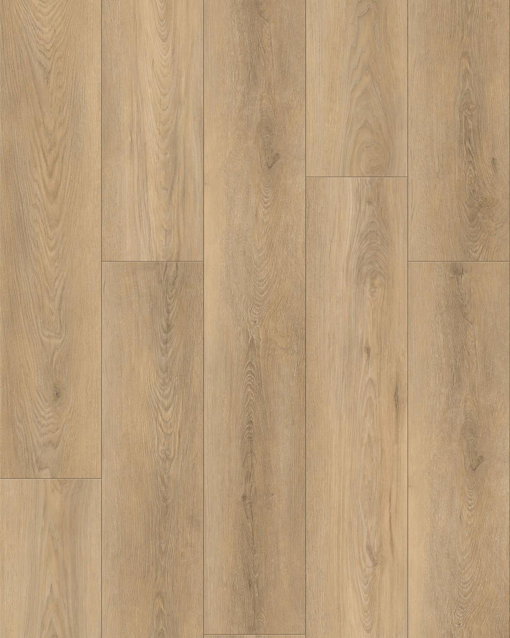 Wattle Ridge Oak