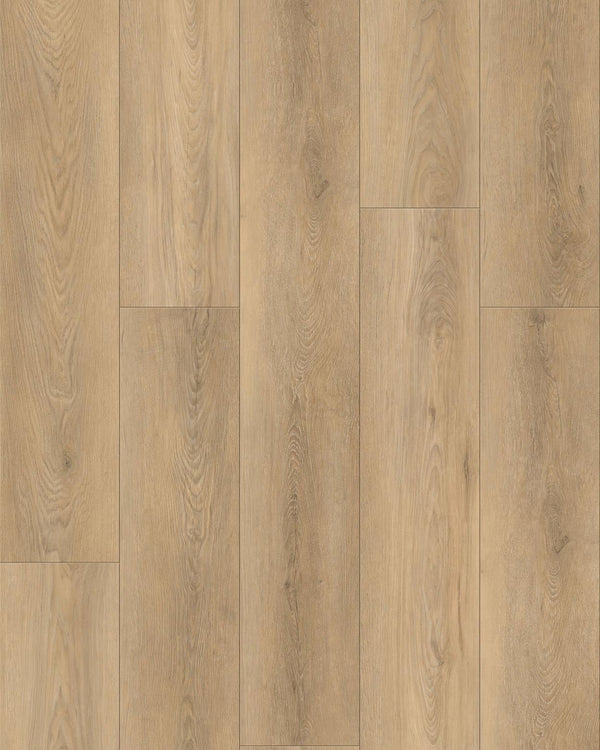 Wattle Ridge Oak