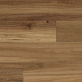 Australian Spotted Gum